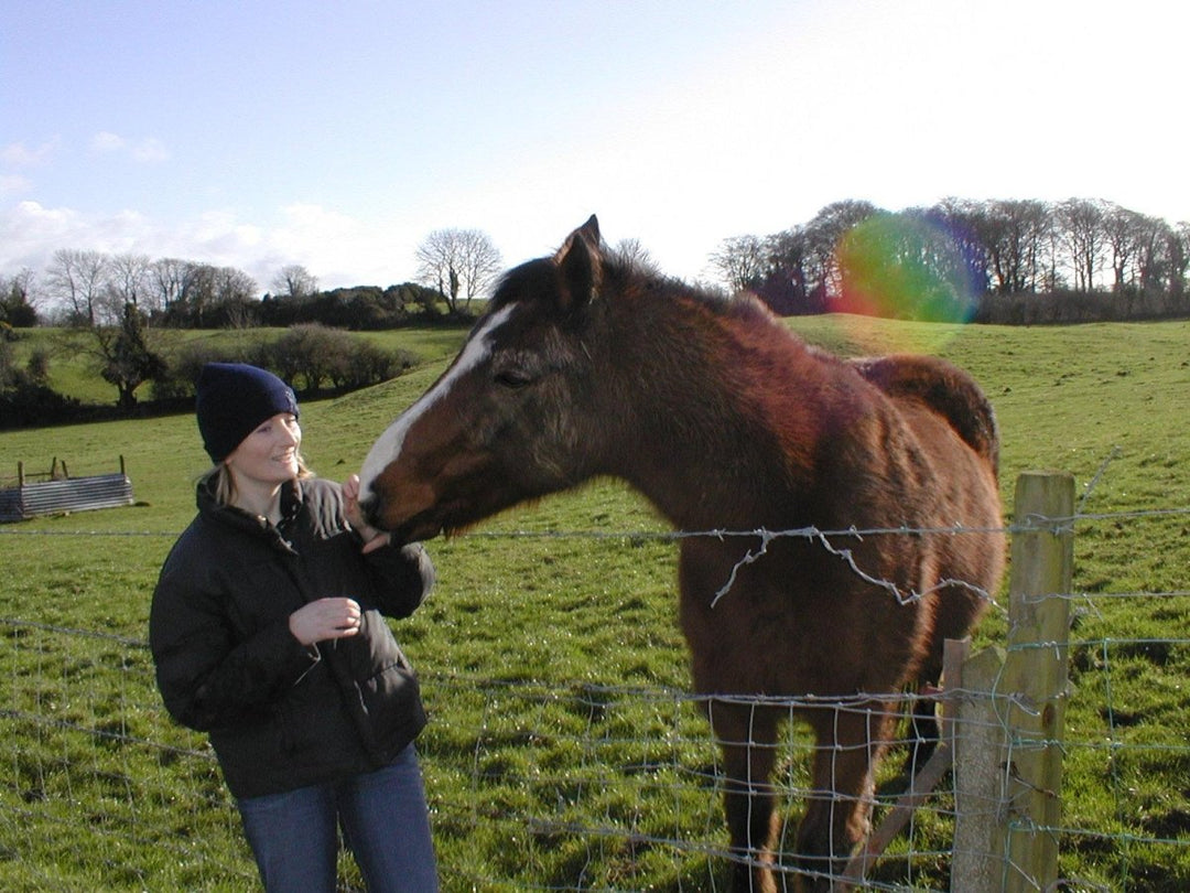 The horses are here